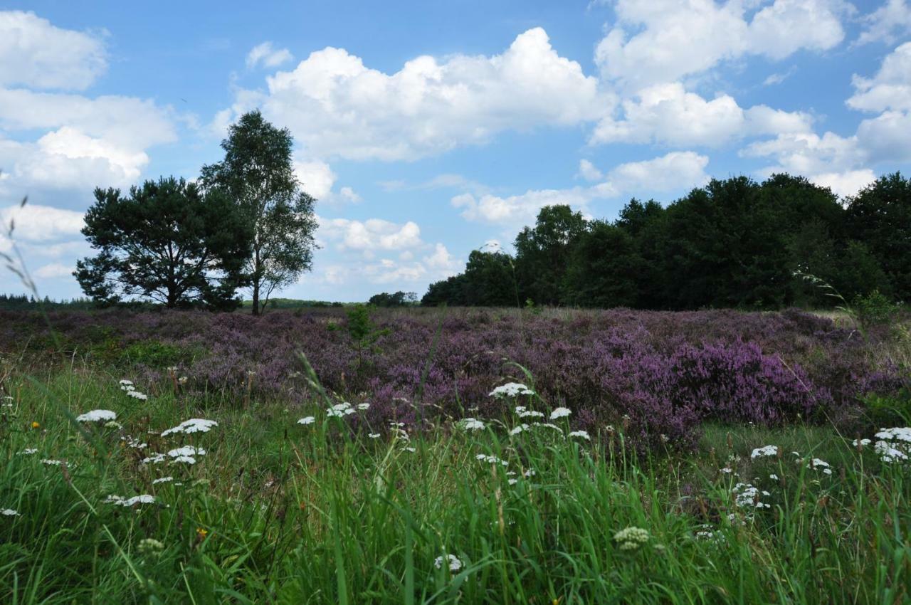 Vila De Kleine Kriemelkuil Ermelo Exteriér fotografie